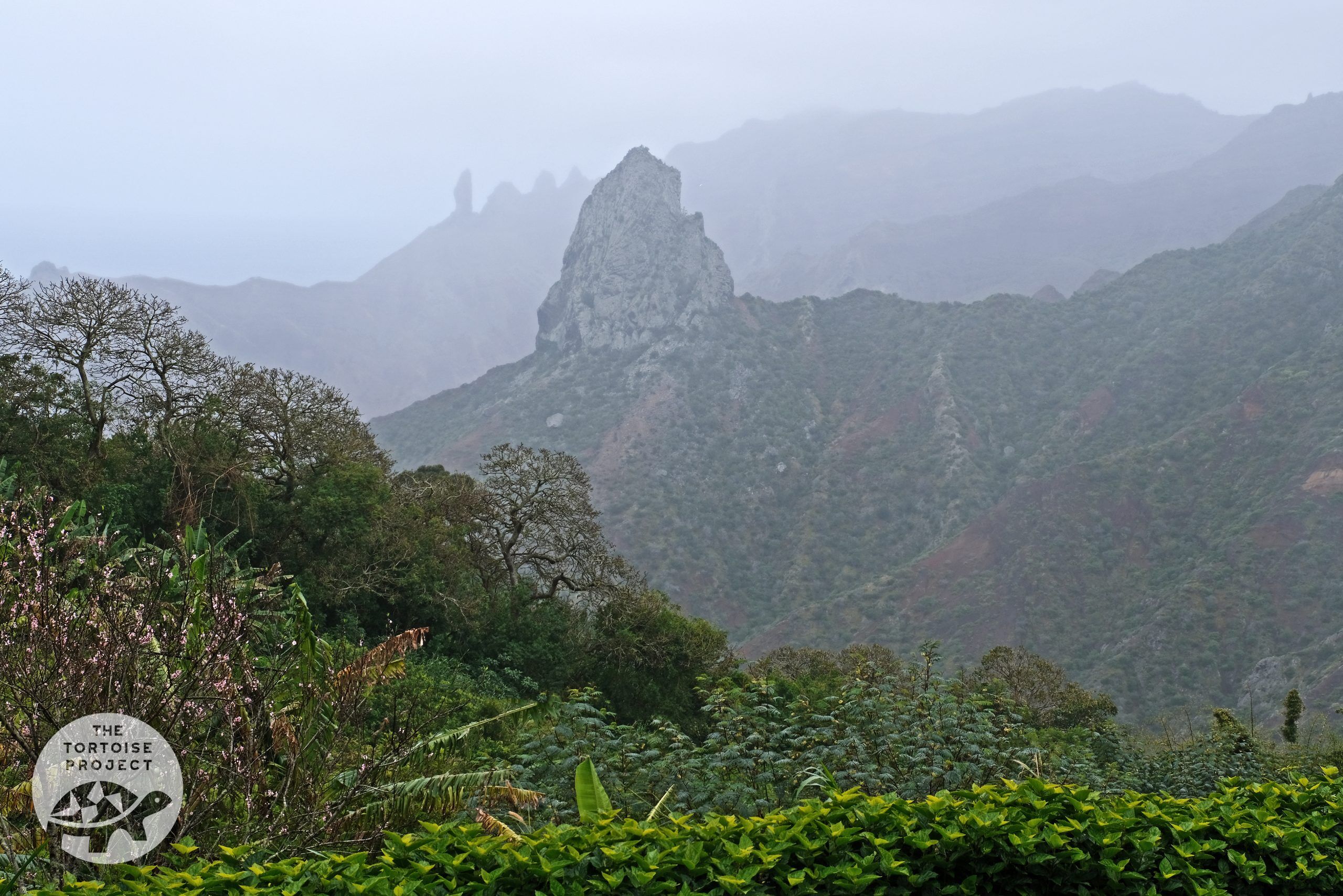 Above Sandy Bay on the island of Saint Helena. The rock formation in the foreground is Lot, borne of volcanic activity and erosion. Behind Lot, on the left, is Lot's Wife (the remains of a volcanic dyke). Between them are are Gorilla's Head and The Ass's Ears.