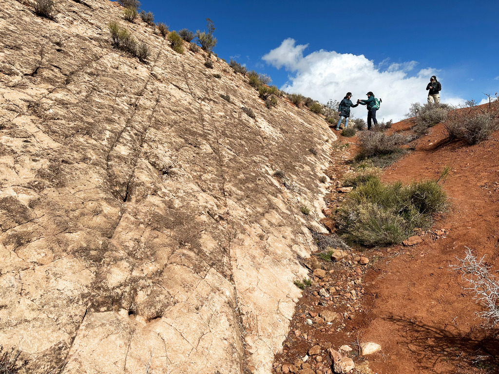Dinosaur tracks at Red Cliffs reserve near St. George, Utah.