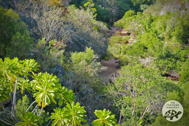 Tiyel Canyon, François Leguat Reserve, Rodrigues.