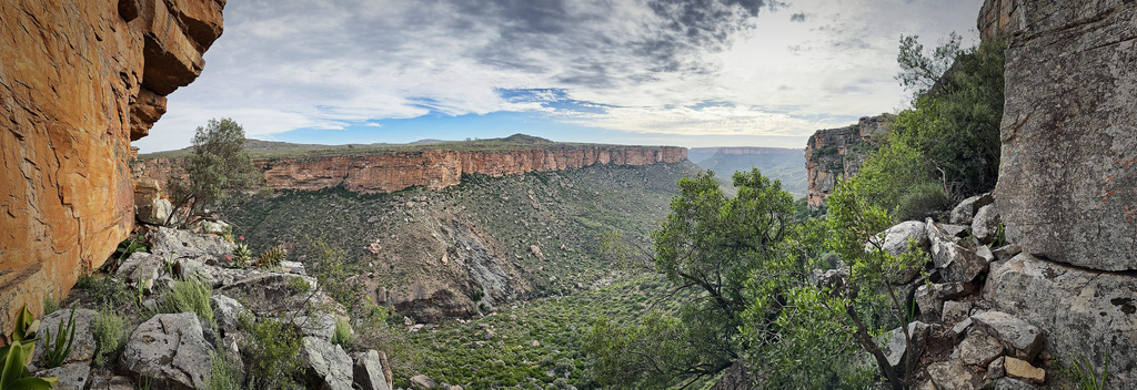 The edge of South Africa's Great Escarpment. Tortoise are up there!