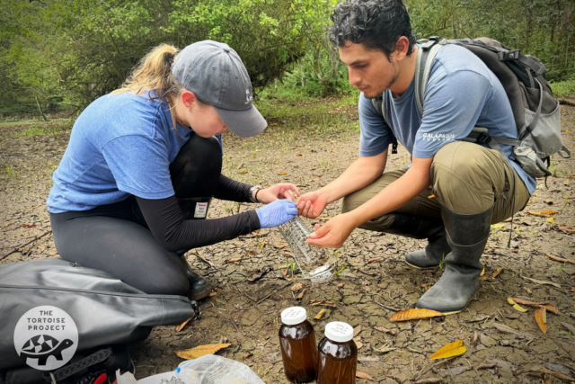 Georgie Savage and Christian set up a probe to test water for agricultural runoff on Santa Cruz island, Galápagos.