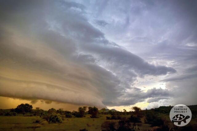 A Storm is Brewing Storm clouds