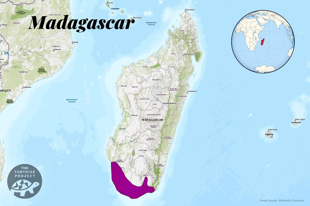 Radiated Tortoise Range Map in Madagascar