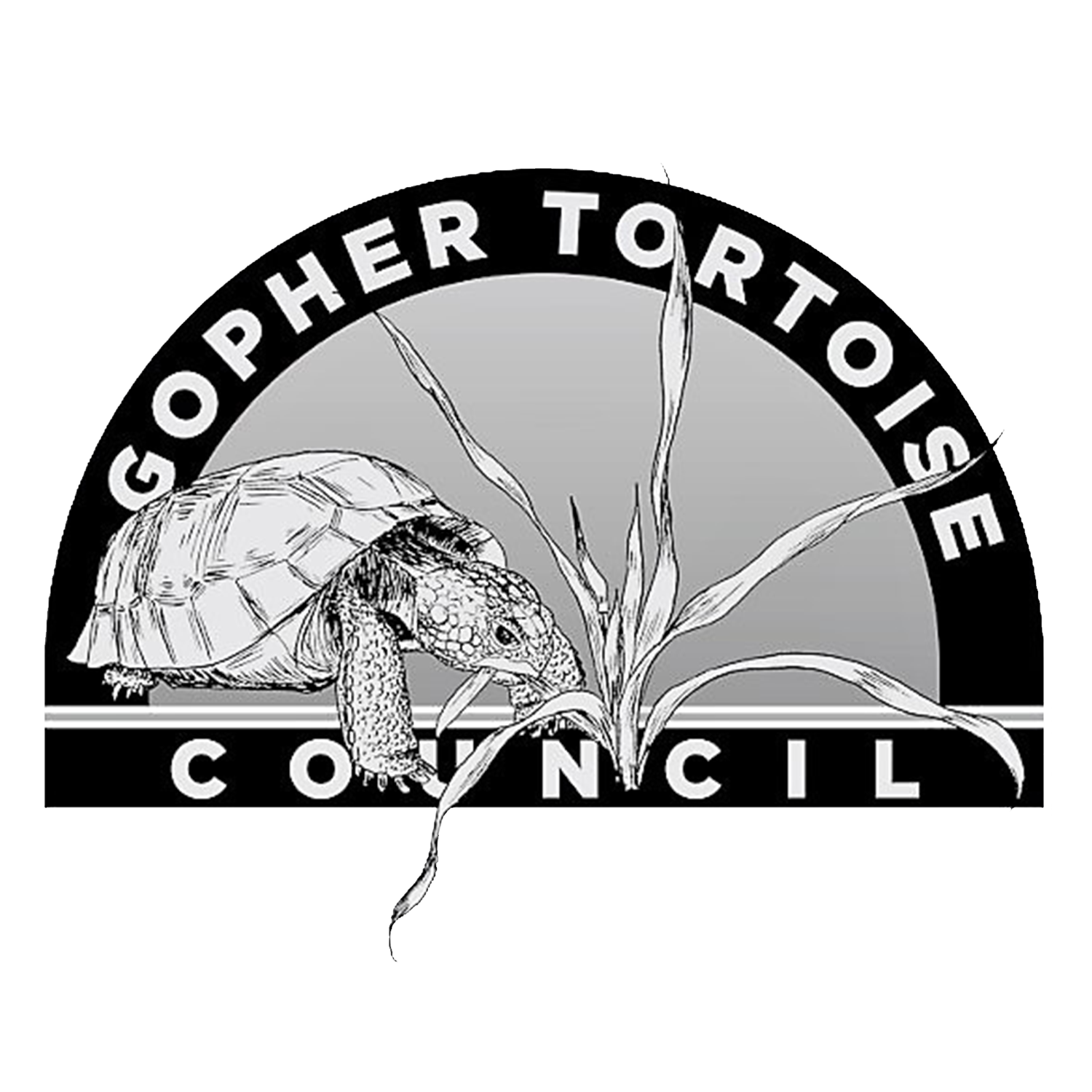 Gopher Tortoise Council